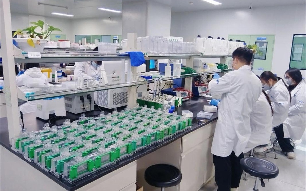 First to introduce sulfur-free vulcanization technology 